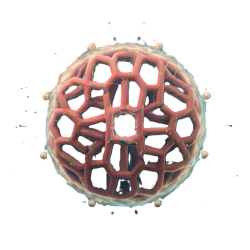 neuro